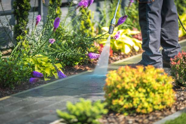 Best Restaurant Pressure Washing  in Margate, FL